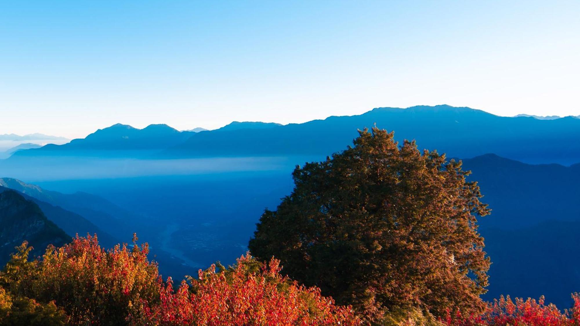 Hotel Indigo Alishan By Ihg Fanlu Exterior photo